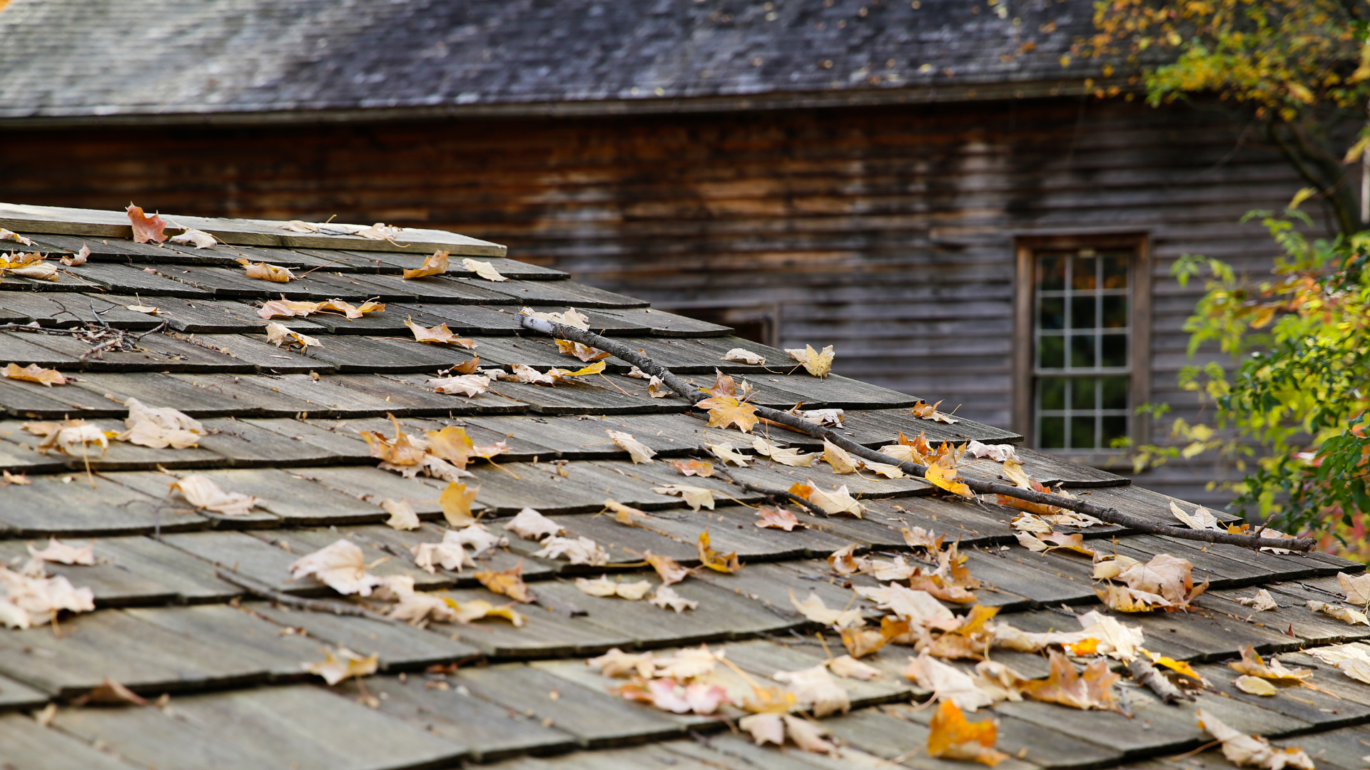 fall roof cleaning