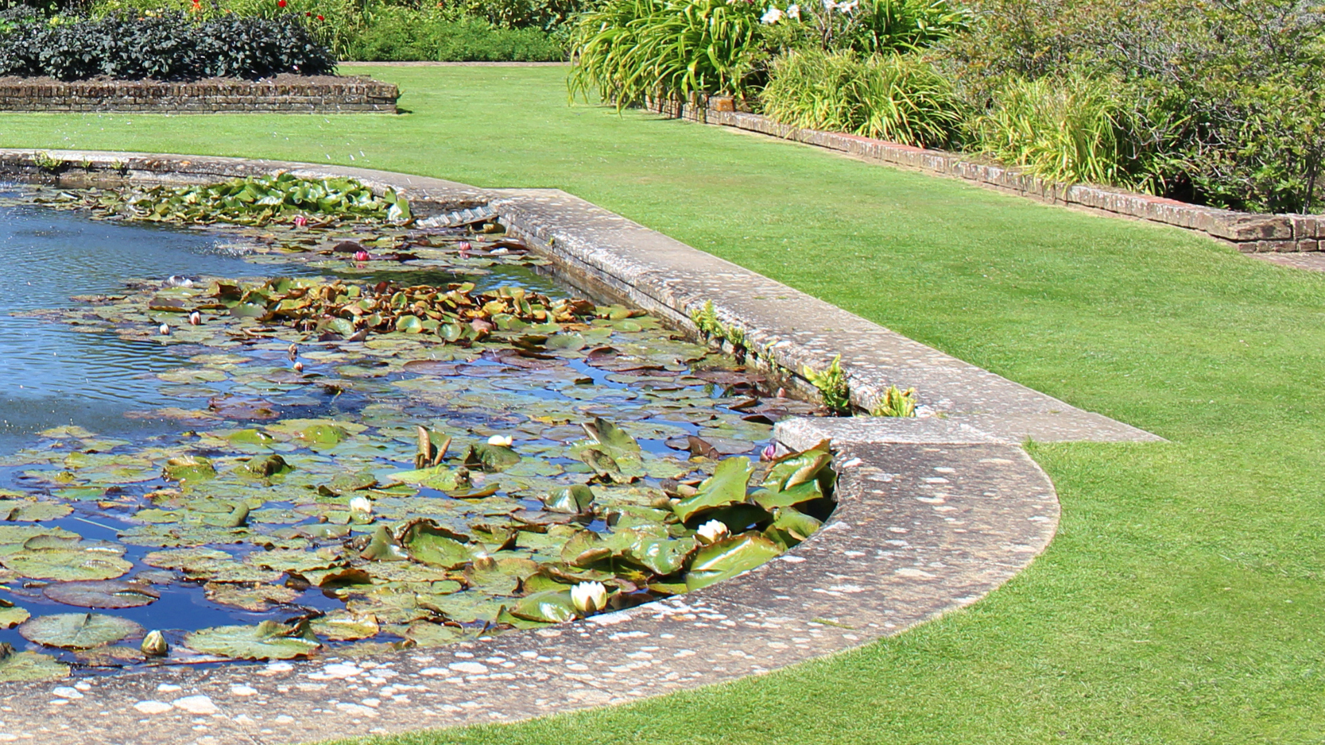 water feature pond companies minneapolis