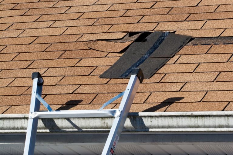 Damaged roof shingles for roof repair in White Bear Lake